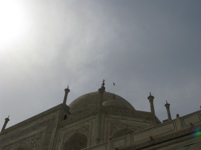 Bird over Taj, no not that!