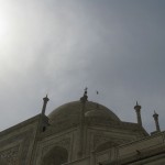 Bird over Taj, no not that!
