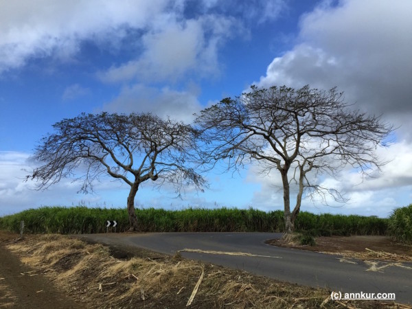 Mauritius Roads - Biking Around